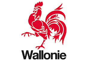 Logo Service public de Wallonie économie emploi formation recherche